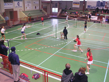 badminton22.12