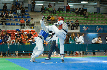 taekwondouvigo